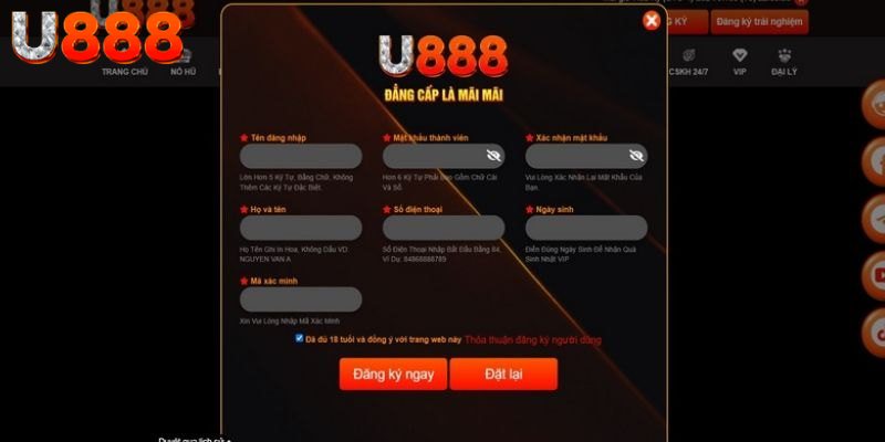 Người chơi cần cung cấp chính xác dữ liệu đăng ký