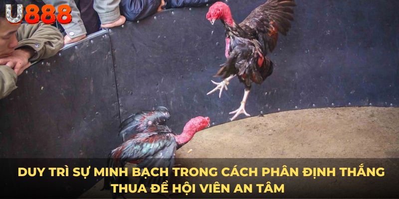 Duy trì sự minh bạch trong cách phân định thắng thua để hội viên an tâm