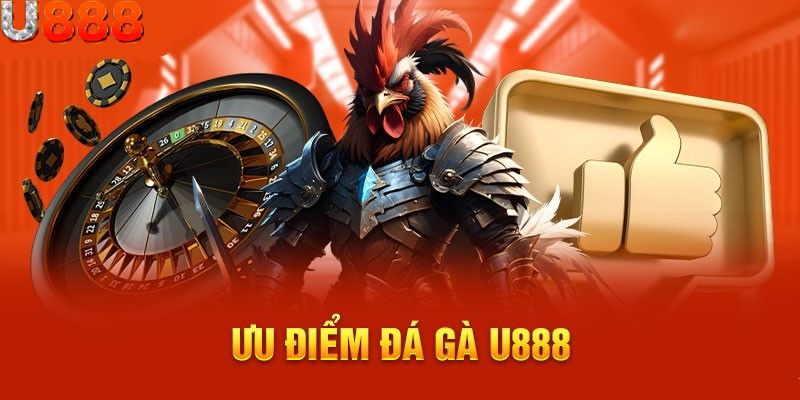 Kinh nghiệm cá cược hấp dẫn không ai tin khi chọi gà U888