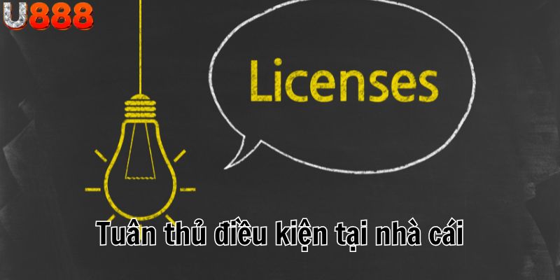 Điều kiện nhà cái cần biết và cam kết để được cấp giấy phép