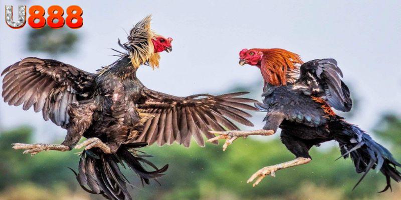 Trò chơi sôi động, cuồng nhiệt nhất thị trường